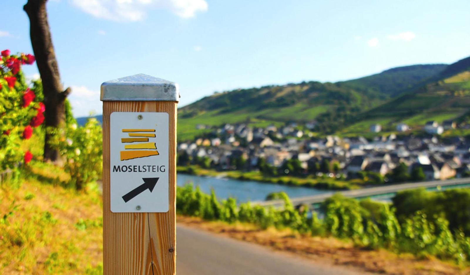 Gaestehaus Weingut Mathy-Schanz Osann-Monzel Exterior photo