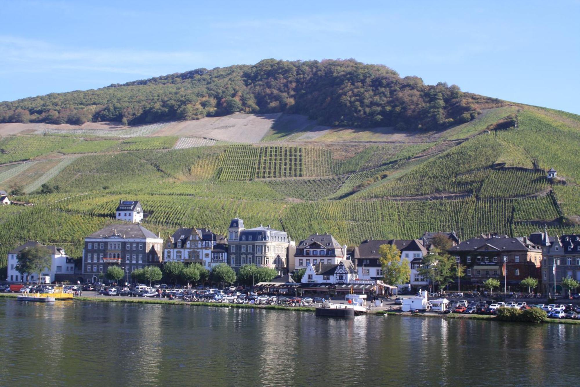 Gaestehaus Weingut Mathy-Schanz Osann-Monzel Exterior photo